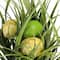 10" Green Spring Time Easter Grass & Egg Floral Arrangement